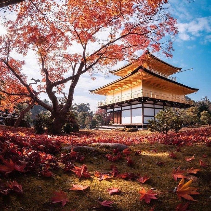 วัดคินคะคุจิ