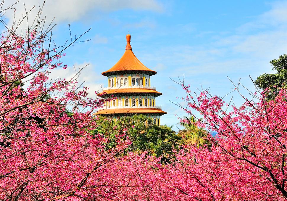 วัดอูจีเทียนหยวน (นิวไทเป)