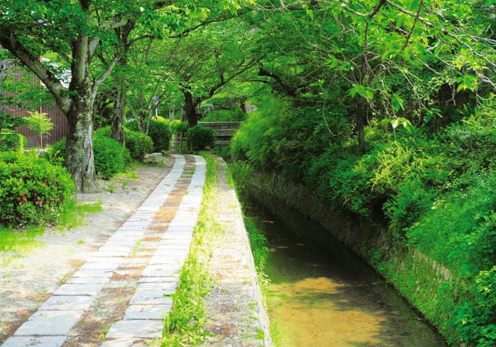 ถนนสายนักปราชญ์