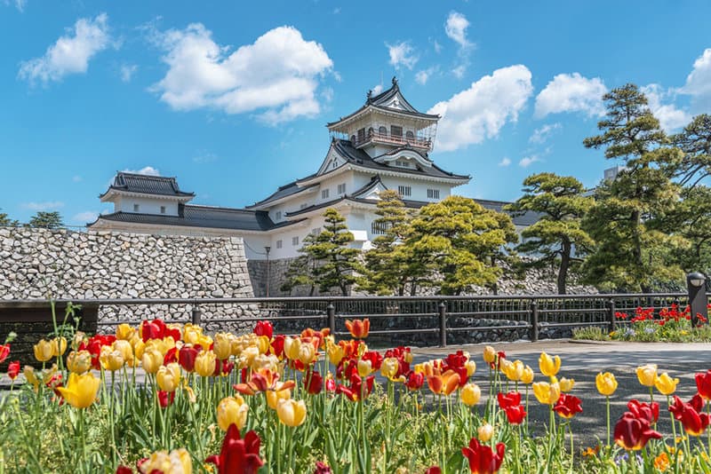 ทัวร์ เมืองโทยาม่า Toyama