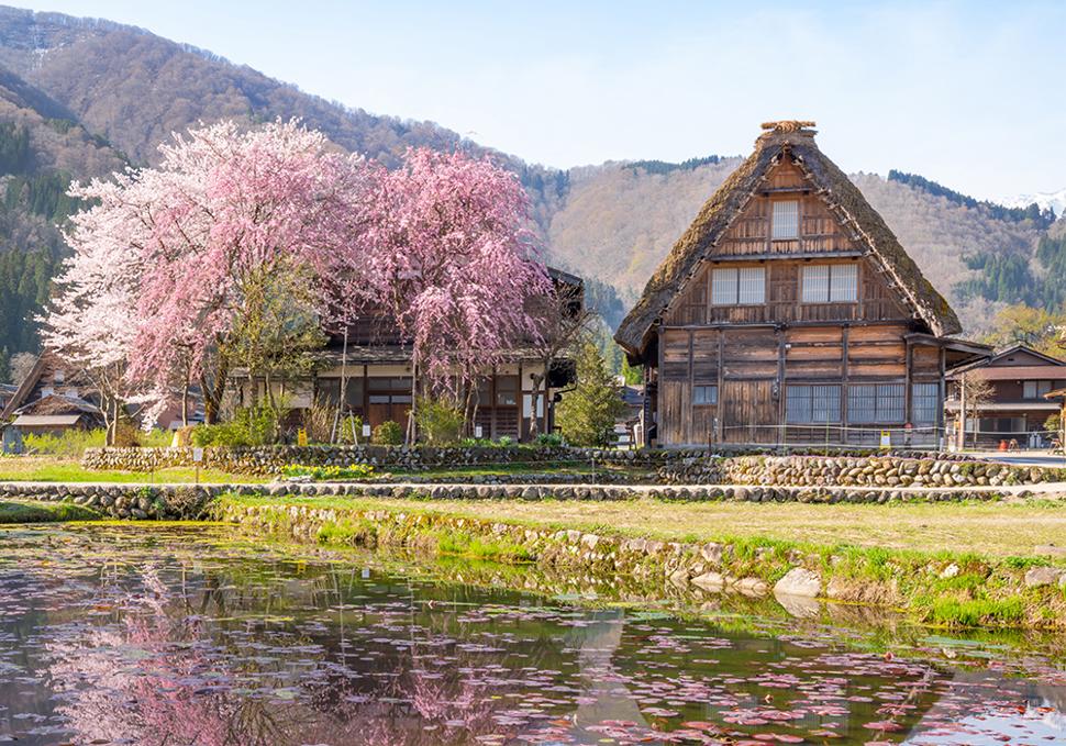 listing tour gallery