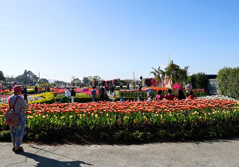 ฟาร์มดอกไม้จงเซ่อ (ไทจง)