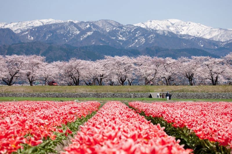 ทัวร์ เมืองมัตสึโมโตะ Matsumoto