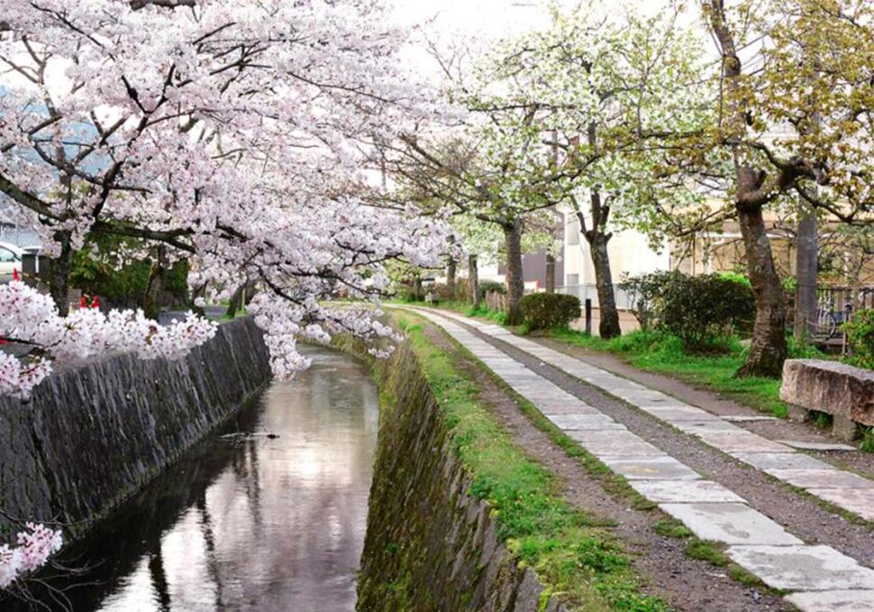 ถนนสายนักปราชญ์